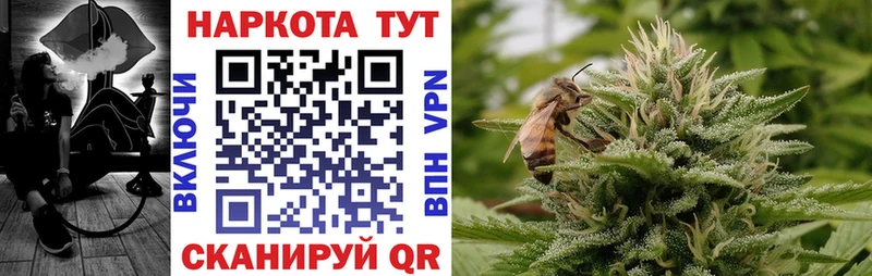 Где купить наркоту Новомичуринск A PVP ГАШ МАРИХУАНА Псилоцибиновые грибы КОКАИН