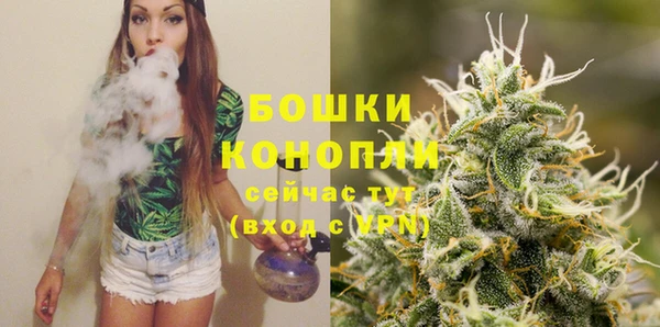 MDMA Новозыбков