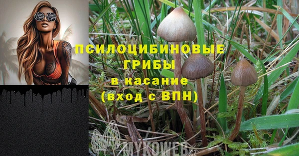 а пвп мука Щигры