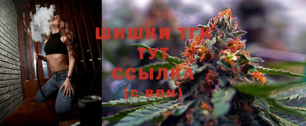 амфетамин Новодвинск